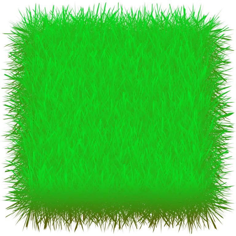 Grass