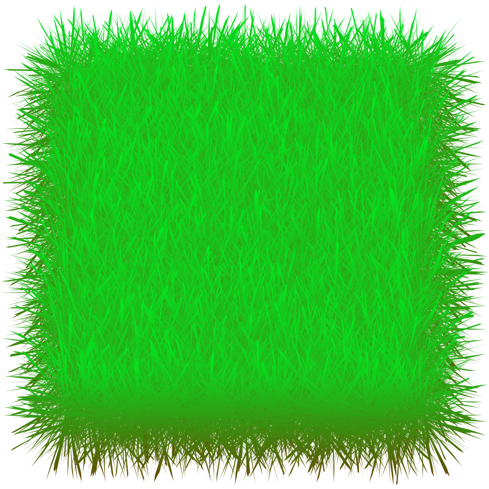 Grass