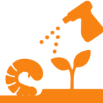 Lawn Grub Treatment Service | Weed Pro | Atlanta, GA