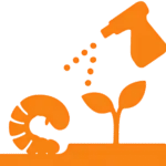 Lawn Grub Treatment Service | Weed Pro | Atlanta, GA