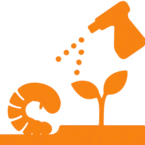 Lawn Grub Treatment Service | Weed Pro | Atlanta, GA