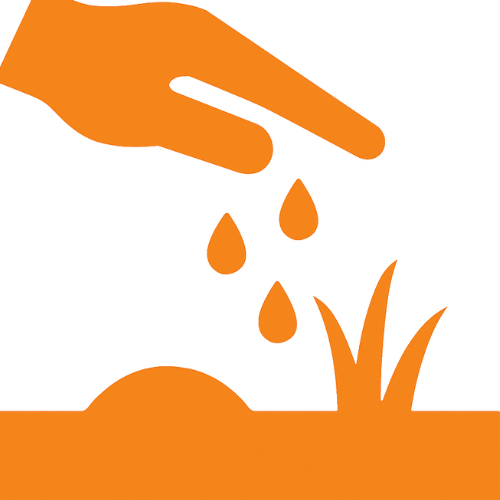 Lawn Overseeding Service | Weed Pro | Atlanta, GA