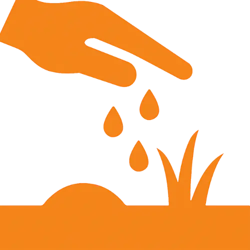 Lawn Overseeding Service | Weed Pro | Atlanta, GA