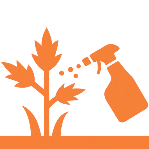 Weed Control Service | Weed Pro | Atlanta, GA