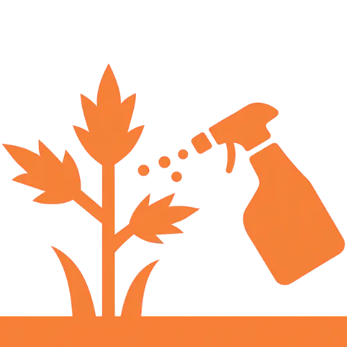 Weed Control Service | Weed Pro | Atlanta, GA