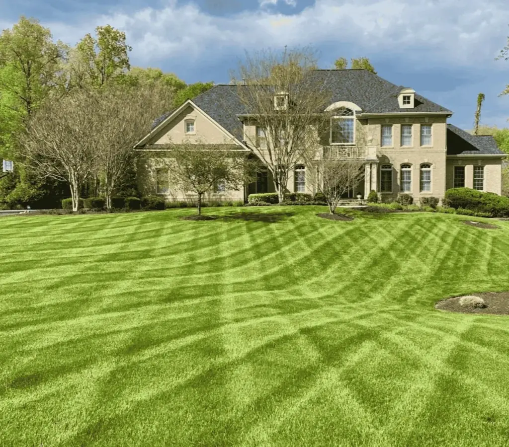 Expansive striped green lawn in front of an upscale house, illustrating dense turf achieved through overseeding.