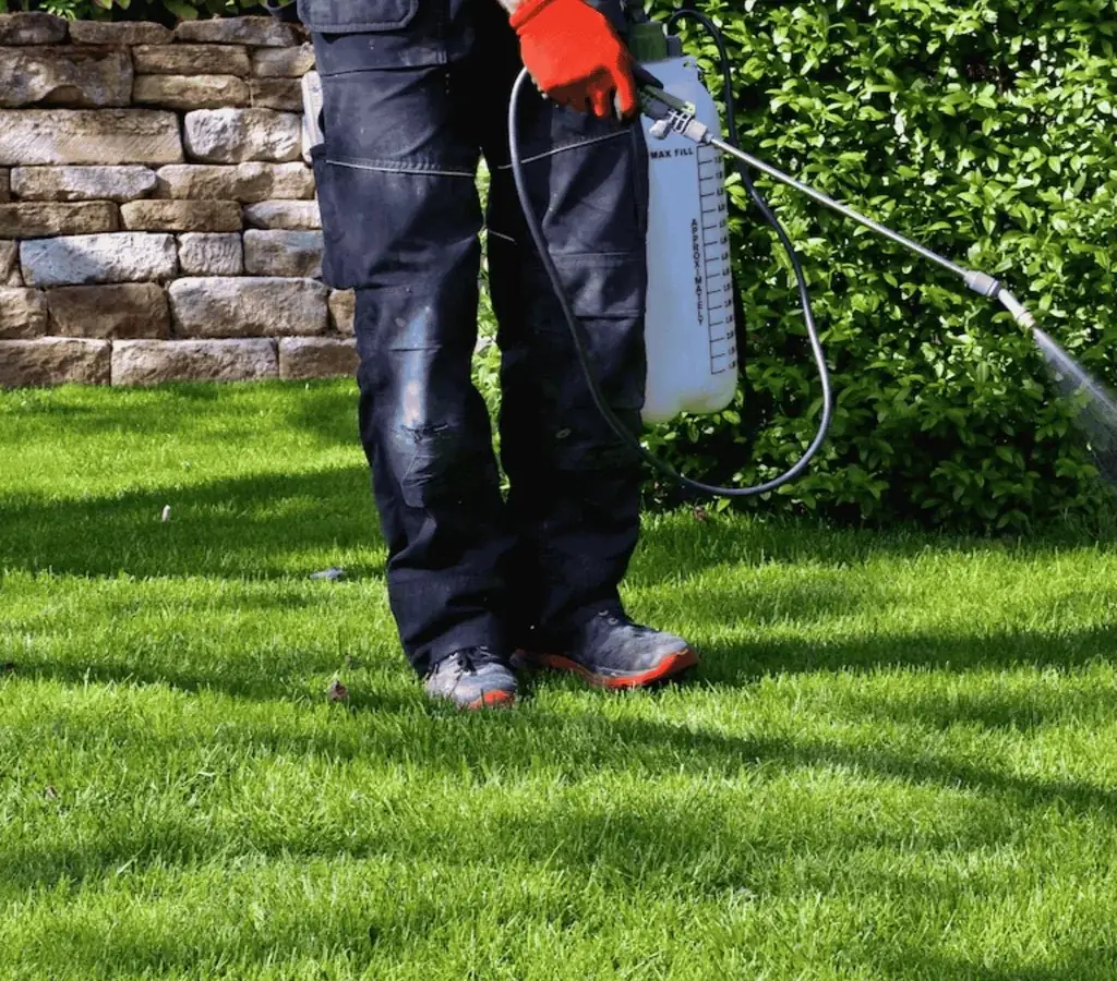 Professional pest control technician applying treatment on healthy green lawn in Buford, GA.