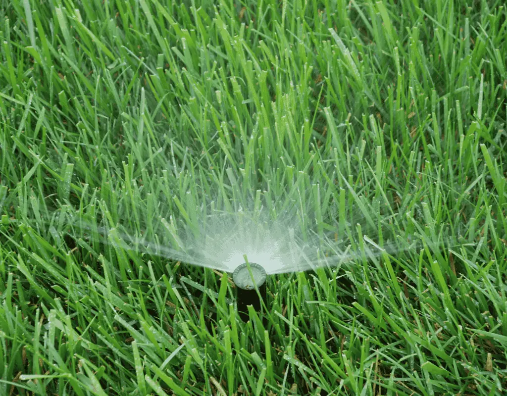 Rain-Bird irrigation controller box mounted on an exterior wall