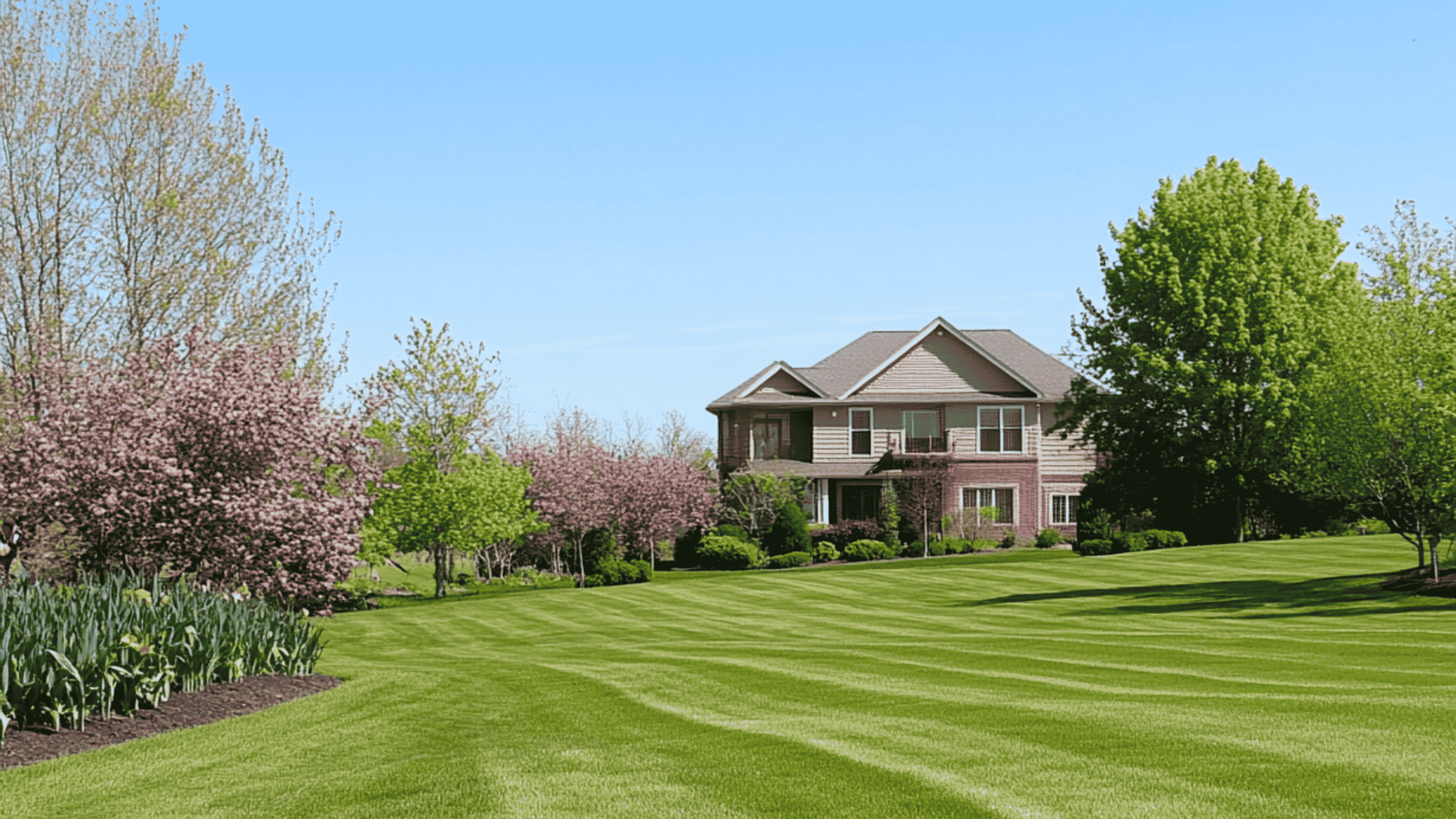 Wide shot of a manicured Atlanta, GA lawn and garden beds showcasing WeedPro’s comprehensive weed eliminator program.