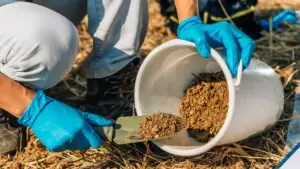 Starter Vs. Maintenance Fertilizers: What’s Right For Your Lawn?