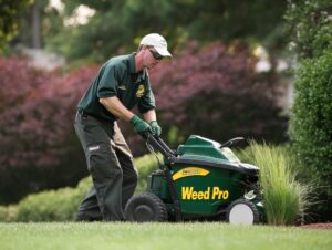 Lawn Care