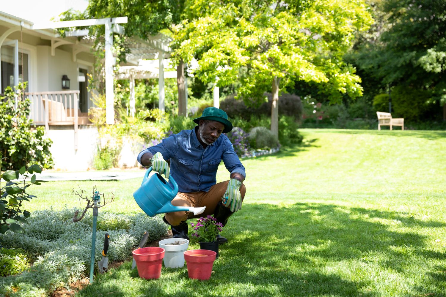 Lawn Care Services