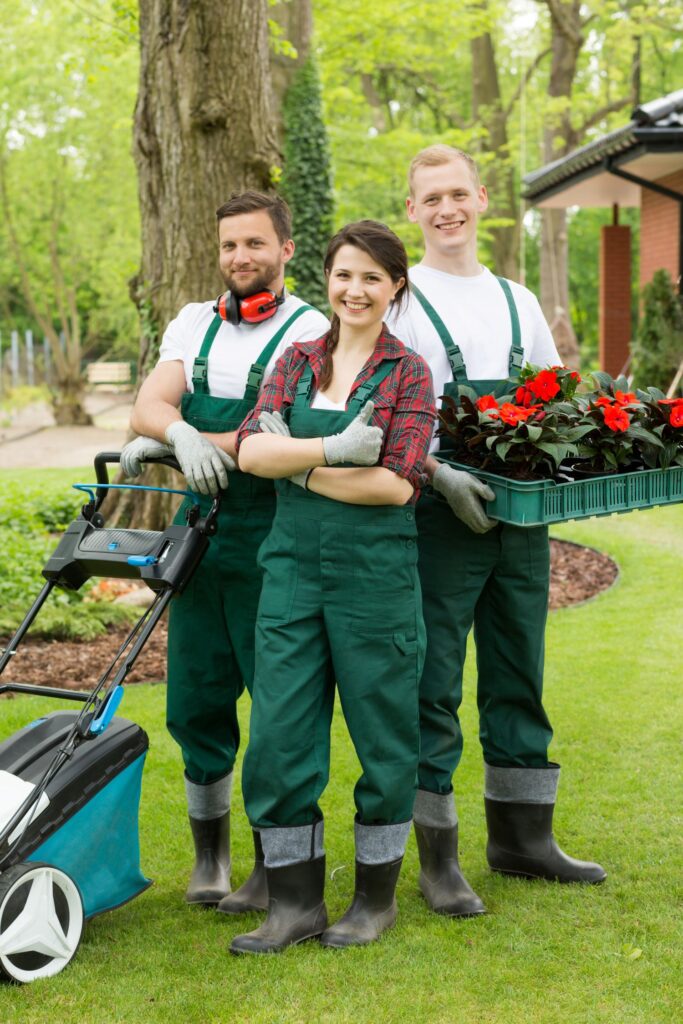 Lawn Care Services