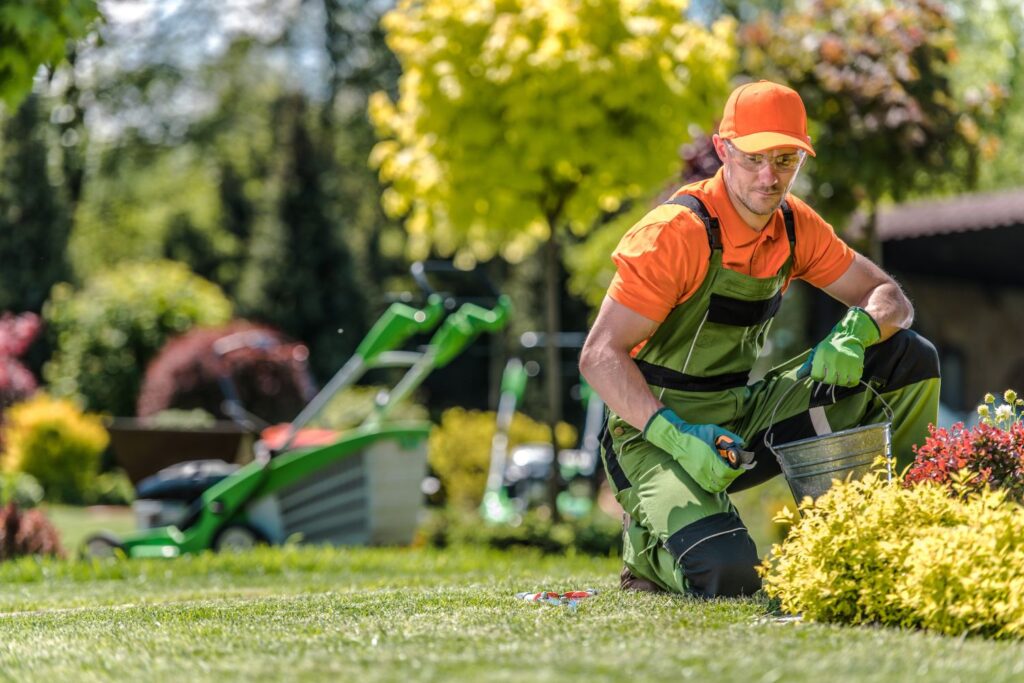 Lawn Care Services