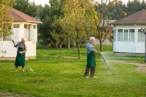 Lawn Care Services
