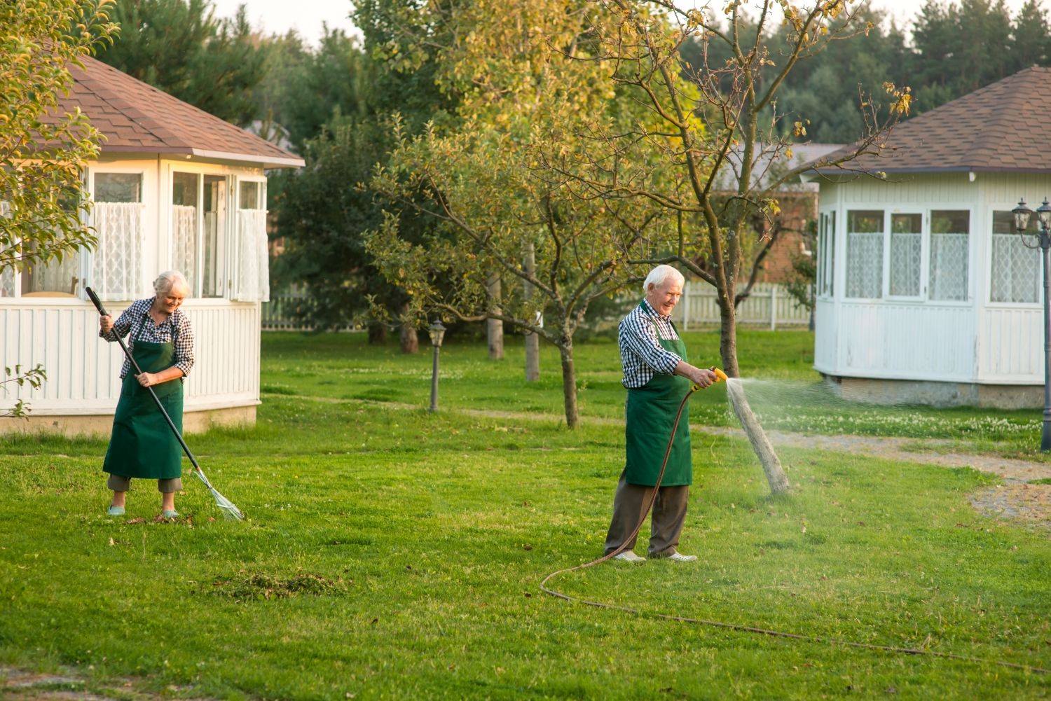 Lawn Care Services