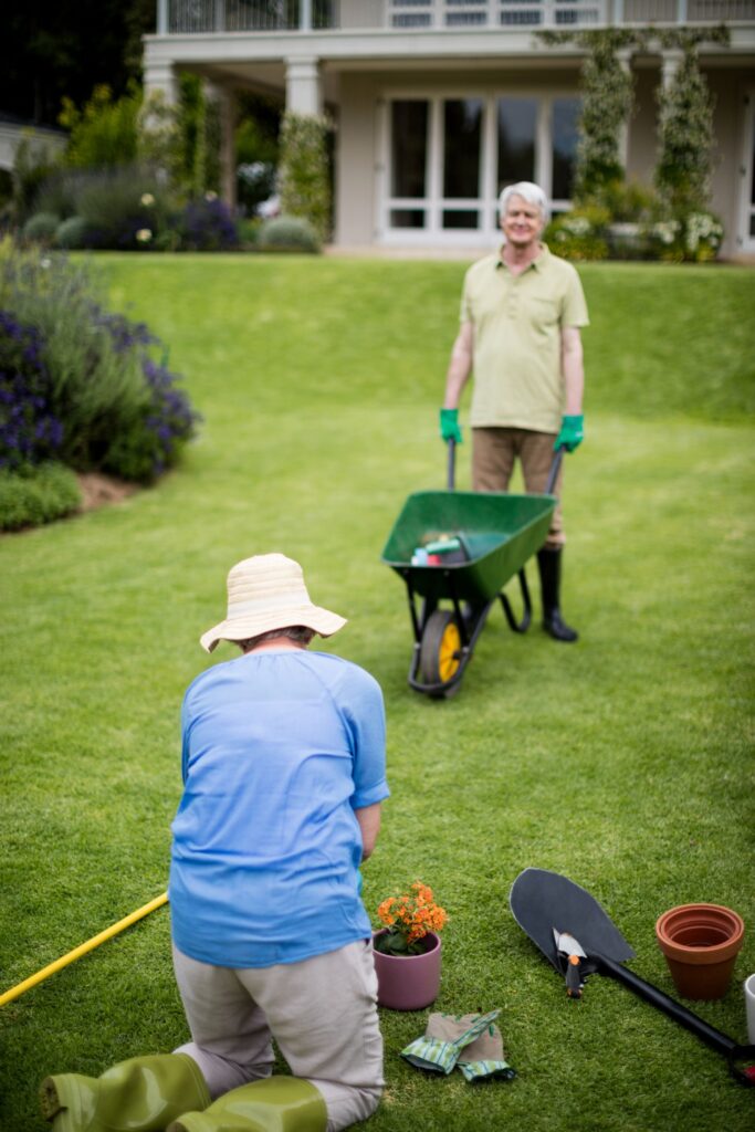 Lawn Care Services