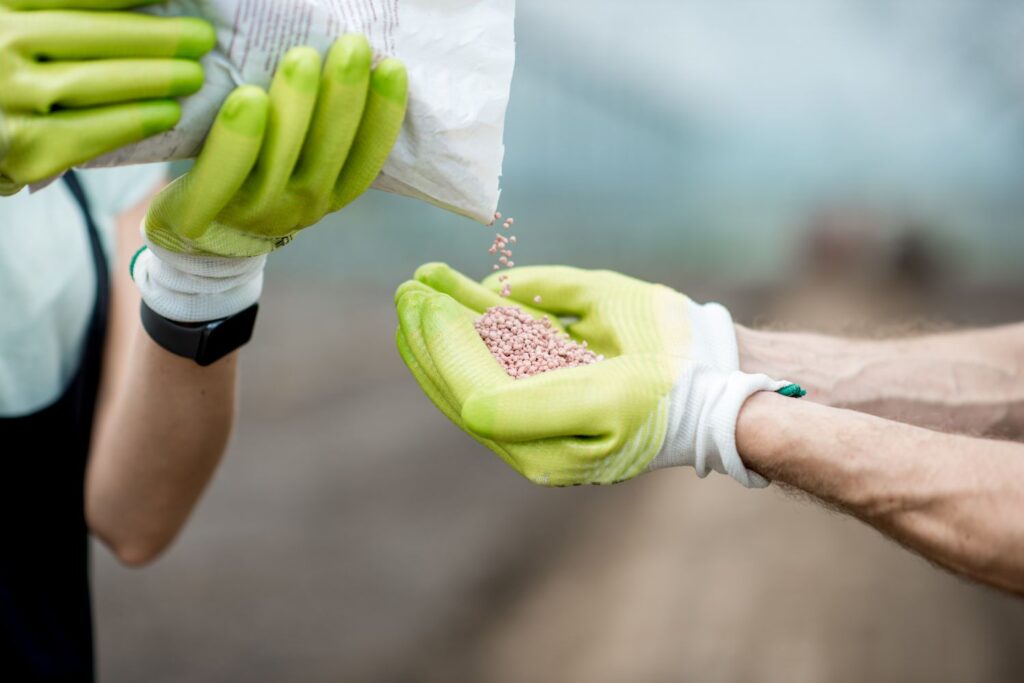 Lawn Fertilizer