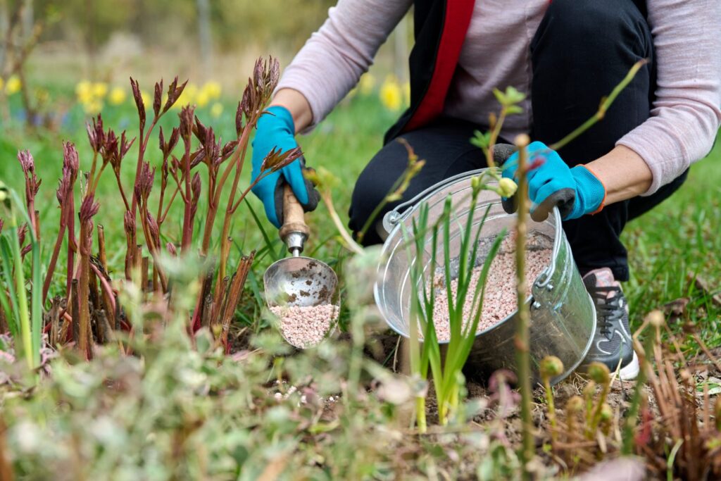Lawn Fertilizer