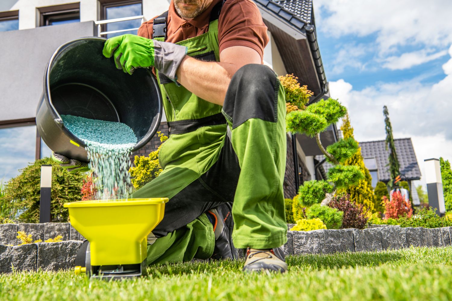 Lawn Fertilizer