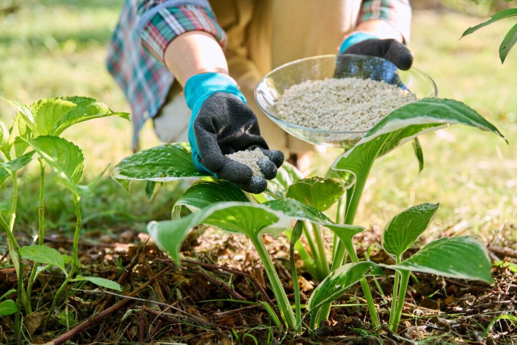 Lawn Fertilizer