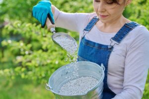 Lawn Fertilizer