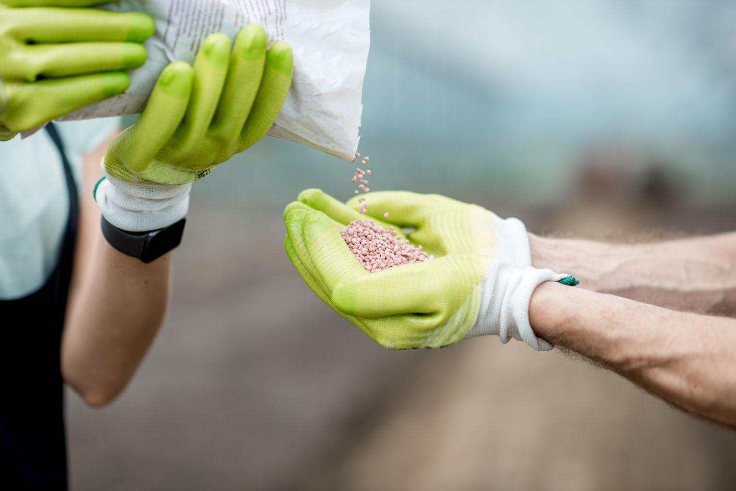 Lawn Fertilizer