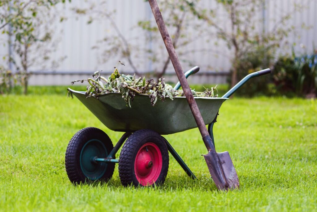 Lawn Treatment