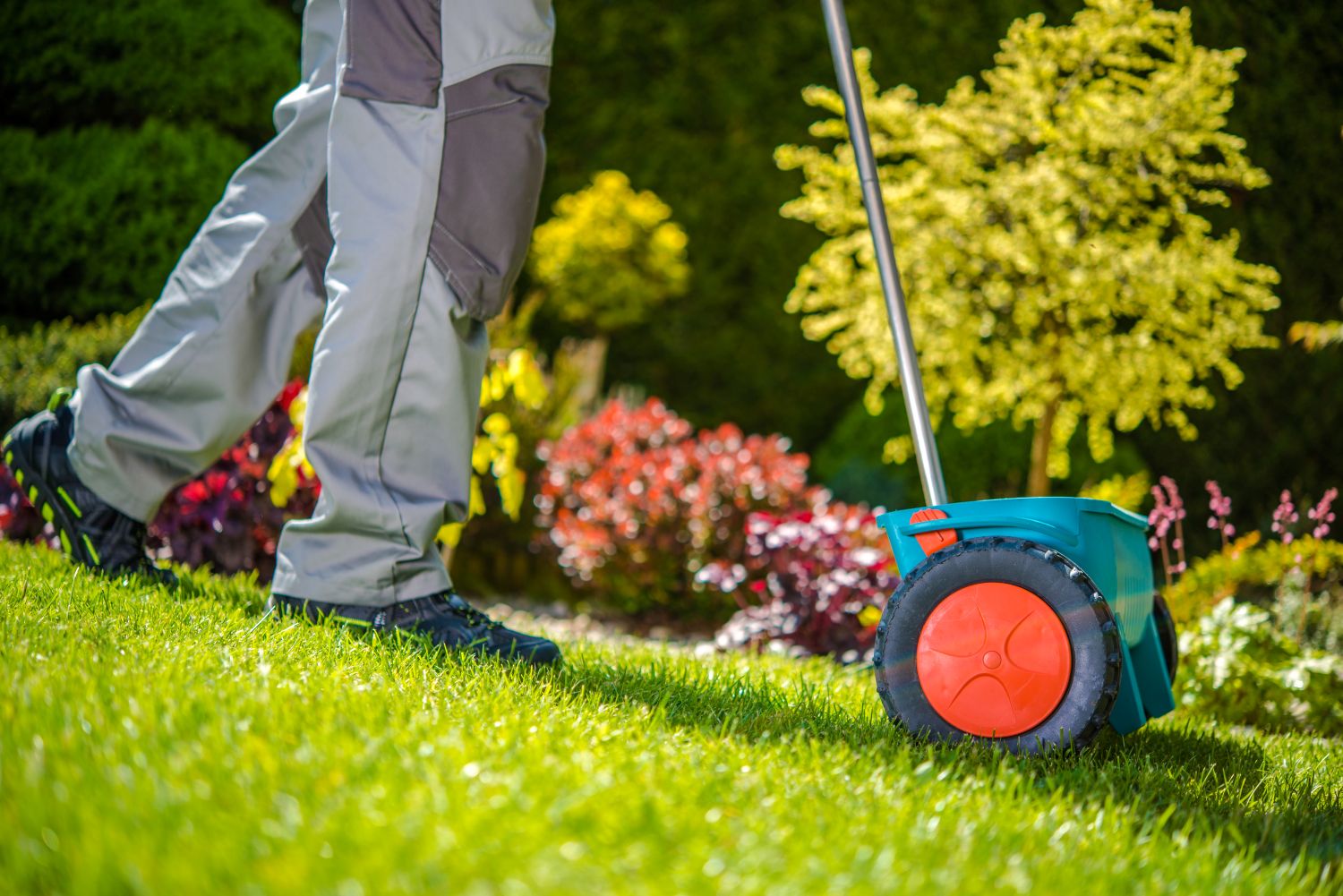 lawn treatment