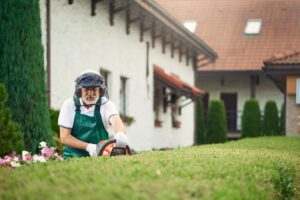 Lawn Treatment