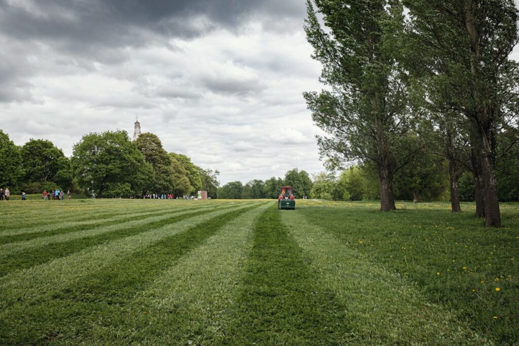 Lawn Treatment