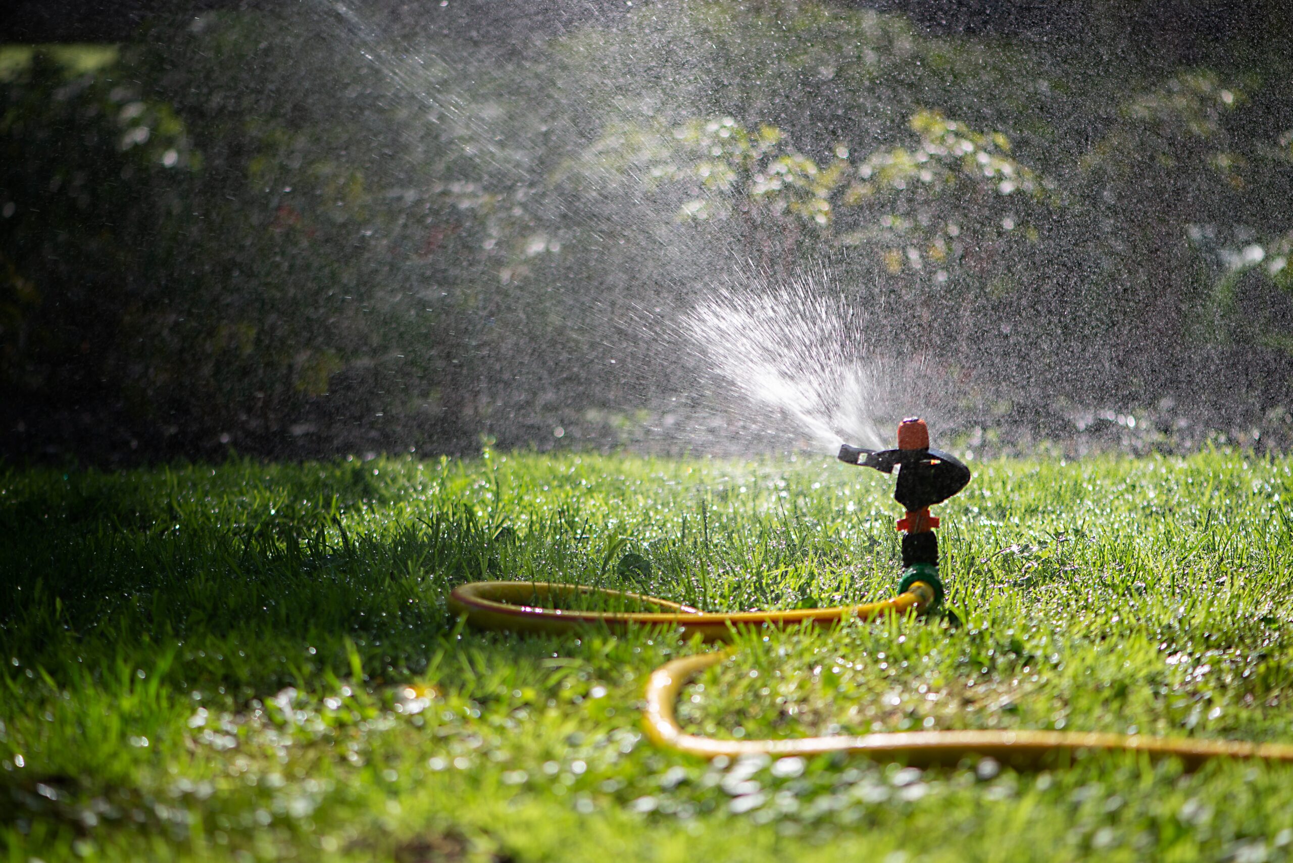 Sprinkler System