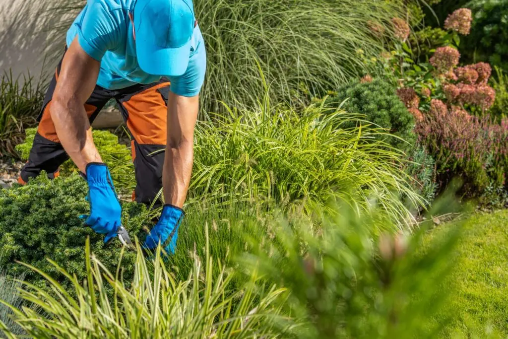Weed Control