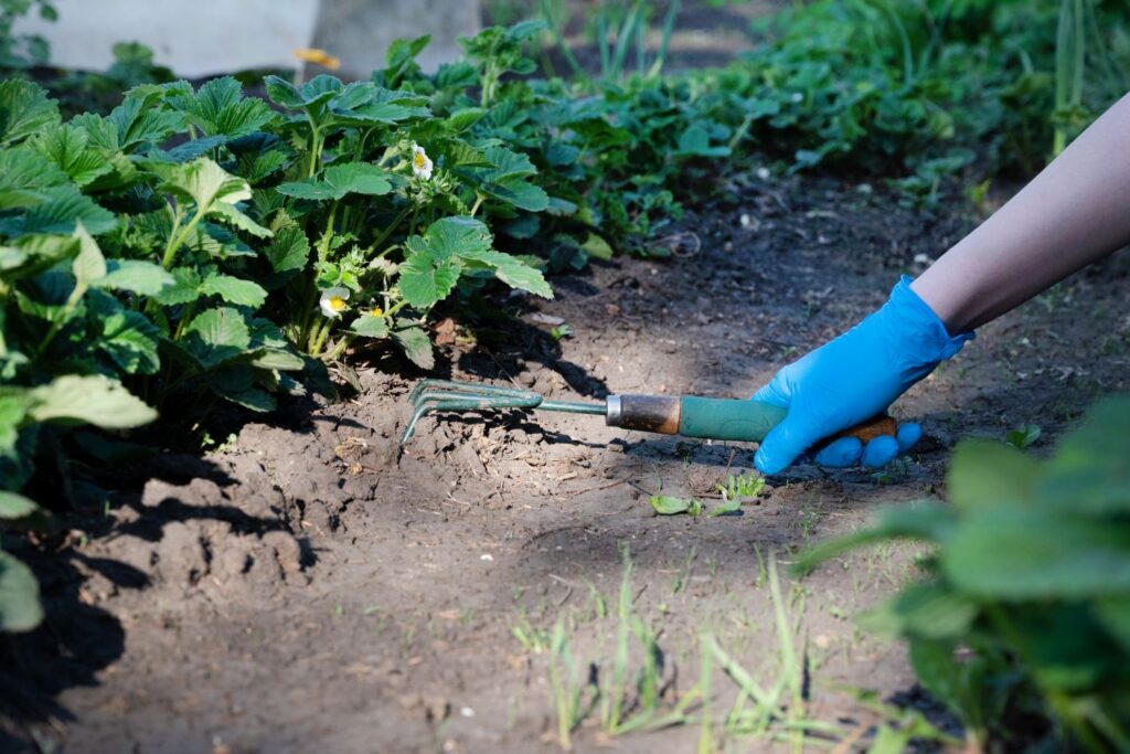 Weed Control