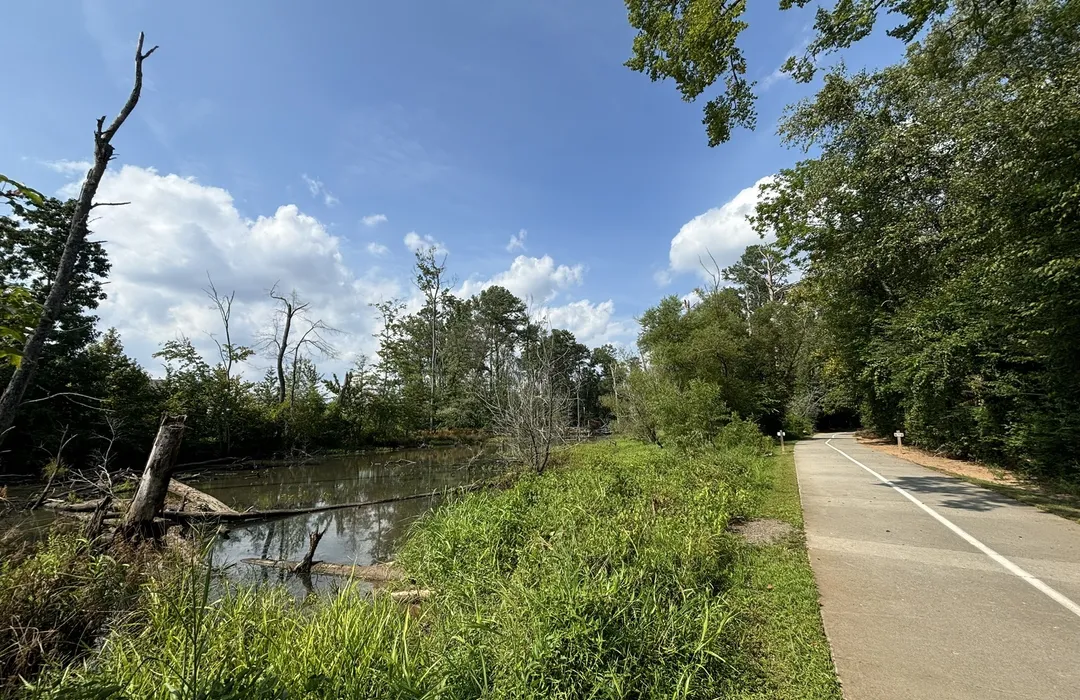 Scenic view of Big Creek Greenway in Cumming, GA, featuring a paved trail alongside a tranquil pond and lush greenery, ideal for outdoor activities like walking and biking.