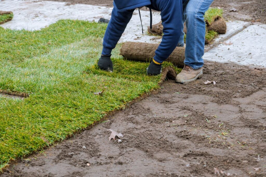 Lawn Installation