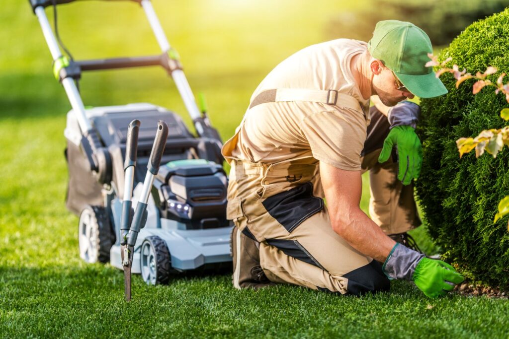Liquid Aeration