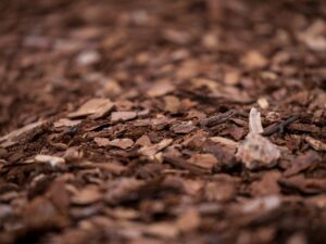 Mulch
