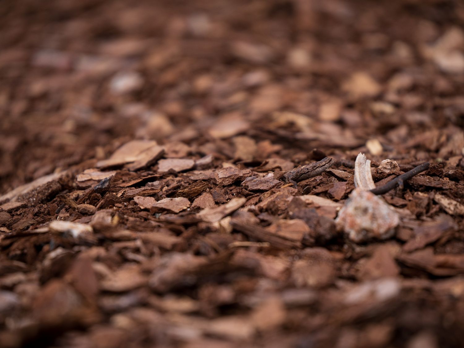 Mulch