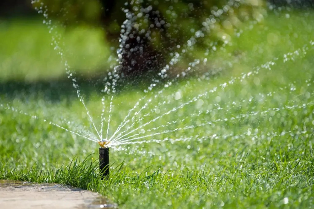 Irrigation