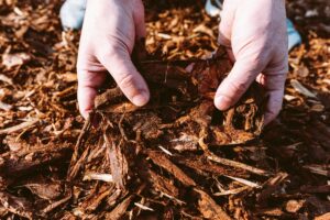 Mulch