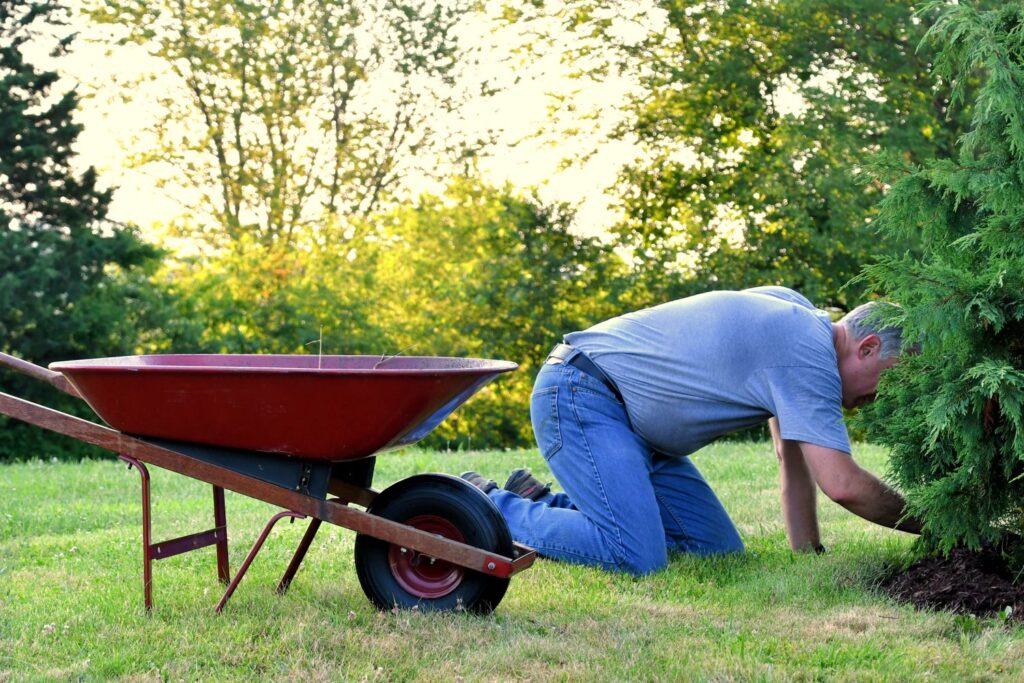 Organic Lawn Care