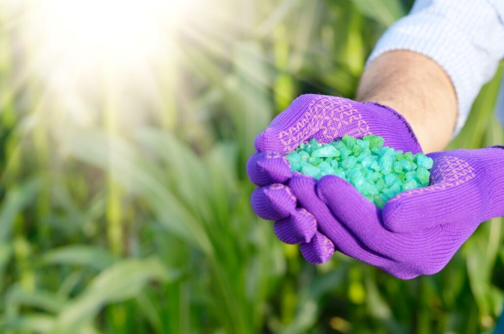 Organic Lawn Fertilizers