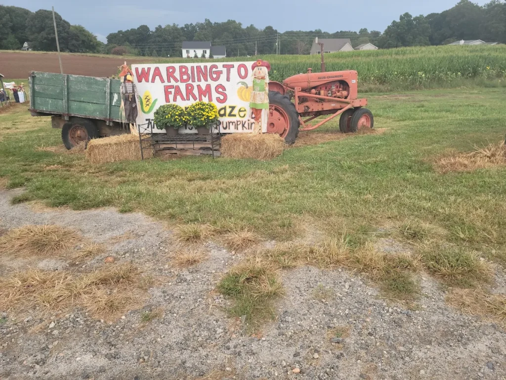 lawn treatment Cumming
