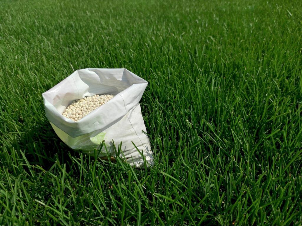 Lawn
