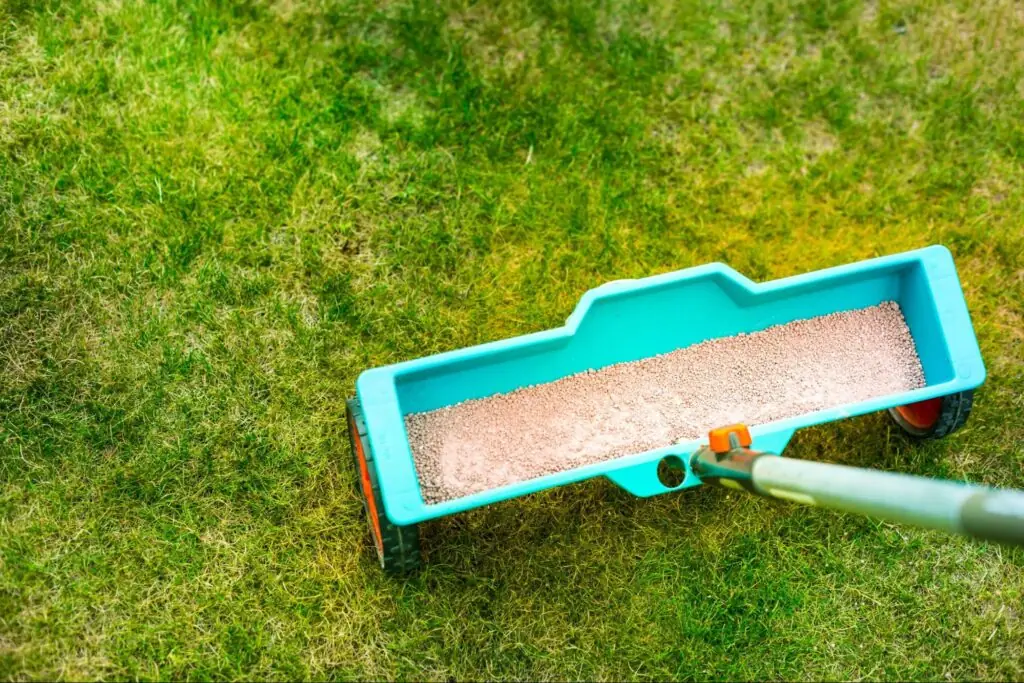 Lawn