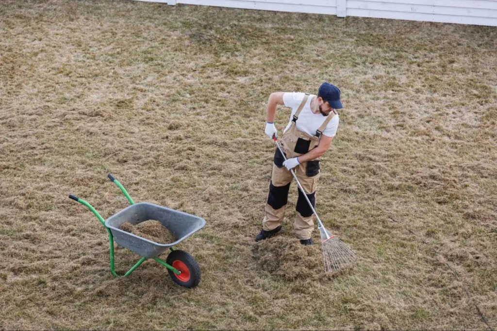 Lawn Issues in Alpharetta