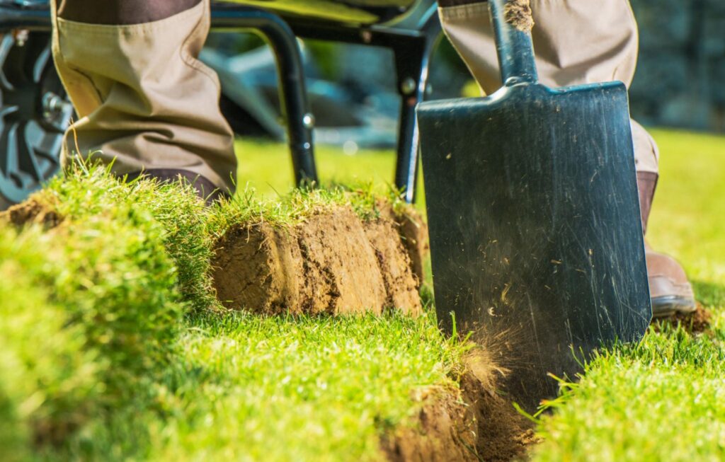 Soil Health in Roswell