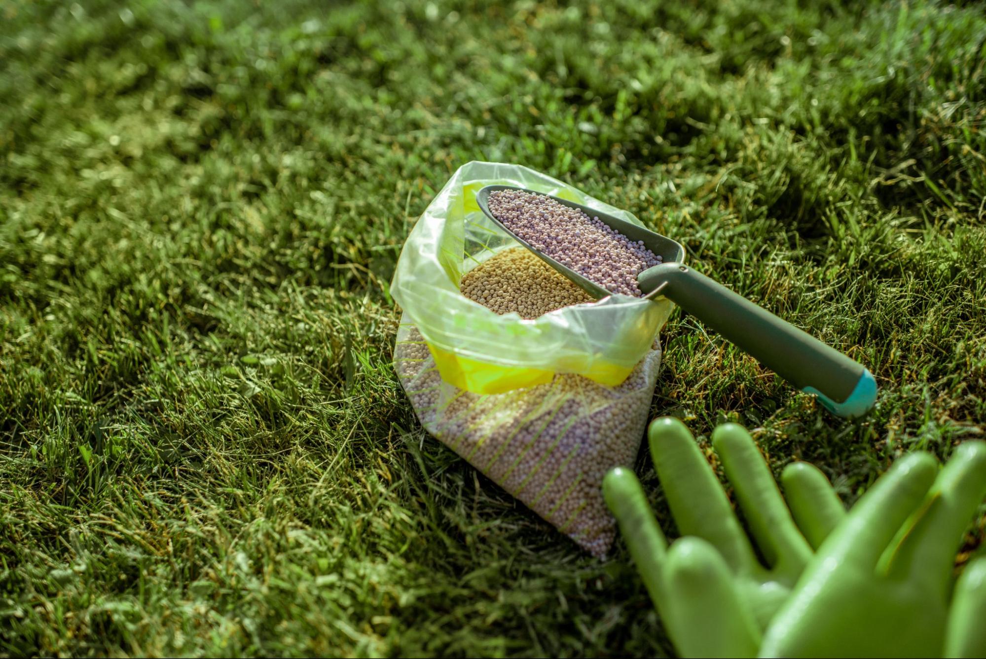 Lawn Fertilization
