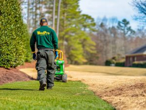 Dressing Materials in Atlanta